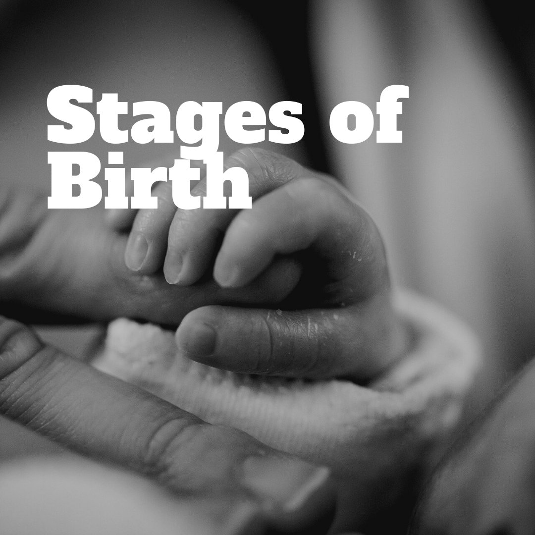 stages-of-birth-touching-life